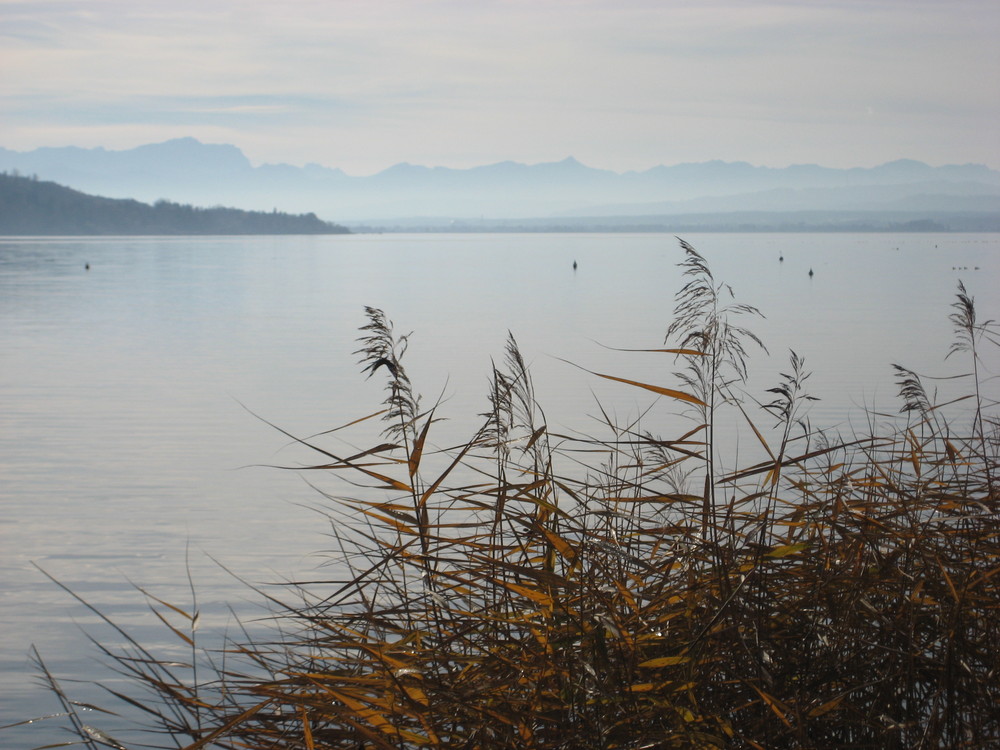 Warmes Licht am Ammersee...