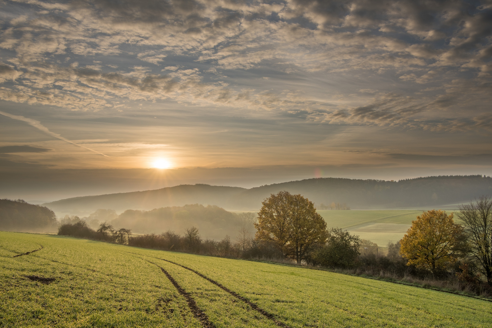 Warmes Licht am Morgen 