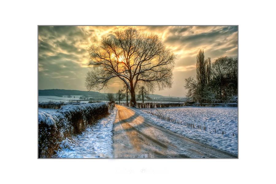 warmes licht an einem kalten Tag Foto & Bild landschaft, natur Bilder