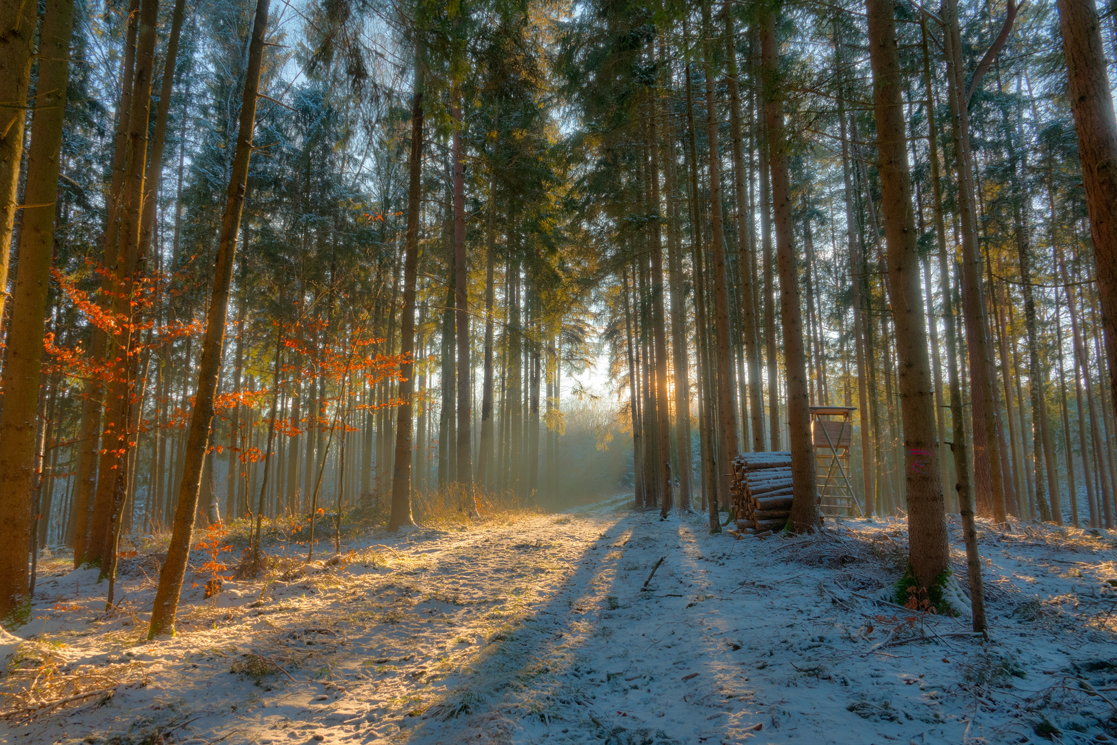 warmes Licht an kalten Tagen