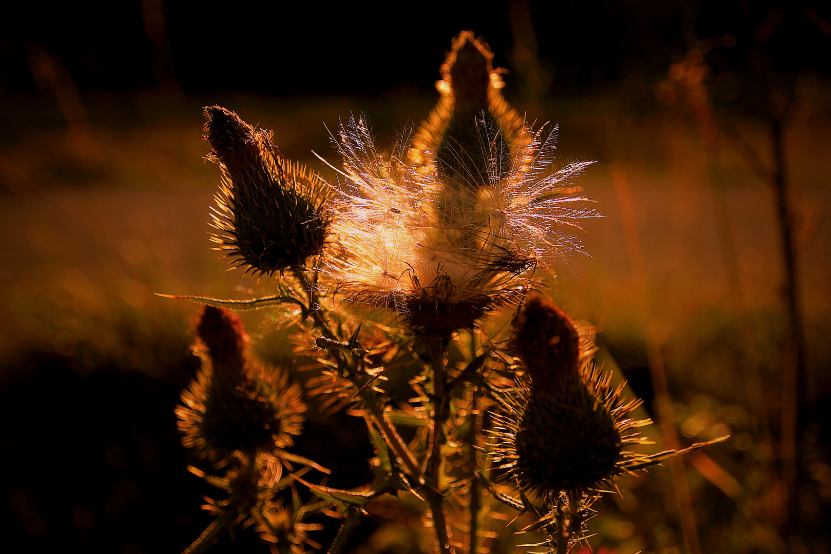 Warmes Licht