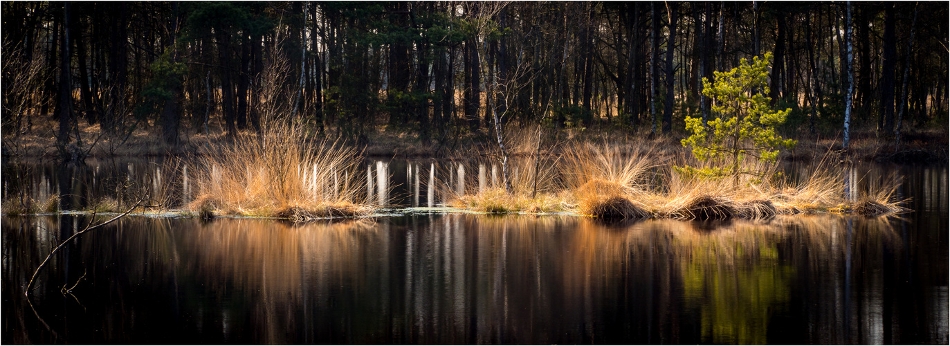 Warmes Licht  -Dienstag ist Spiegeltag-