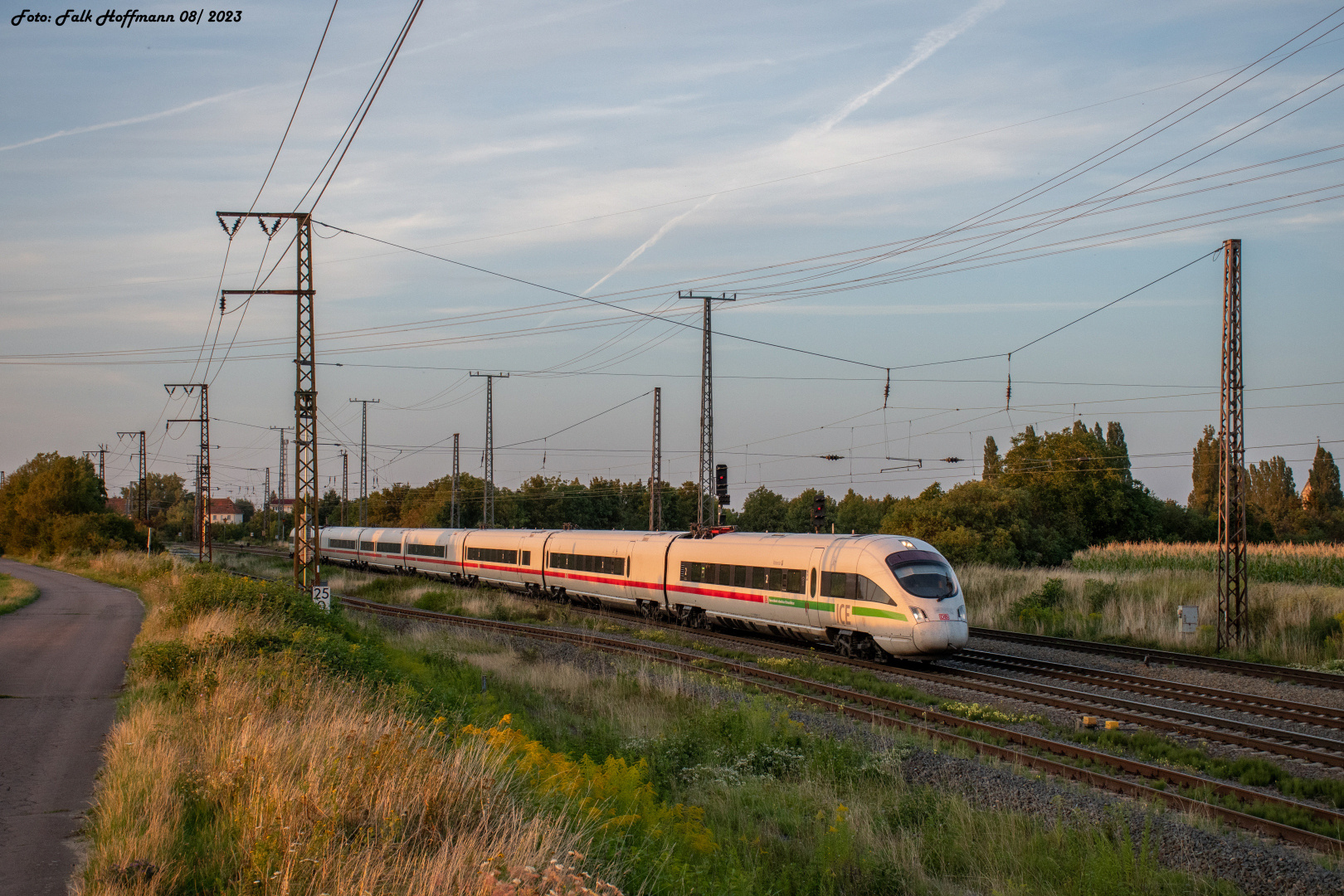 Warmes Licht für den Tunneltampon