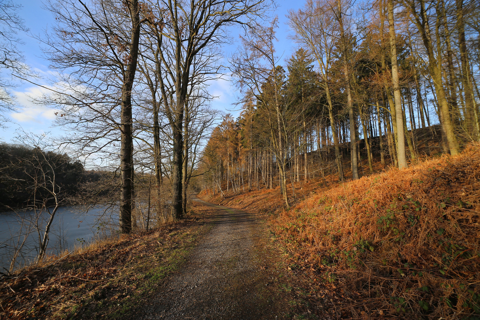 Warmes Licht im Januar