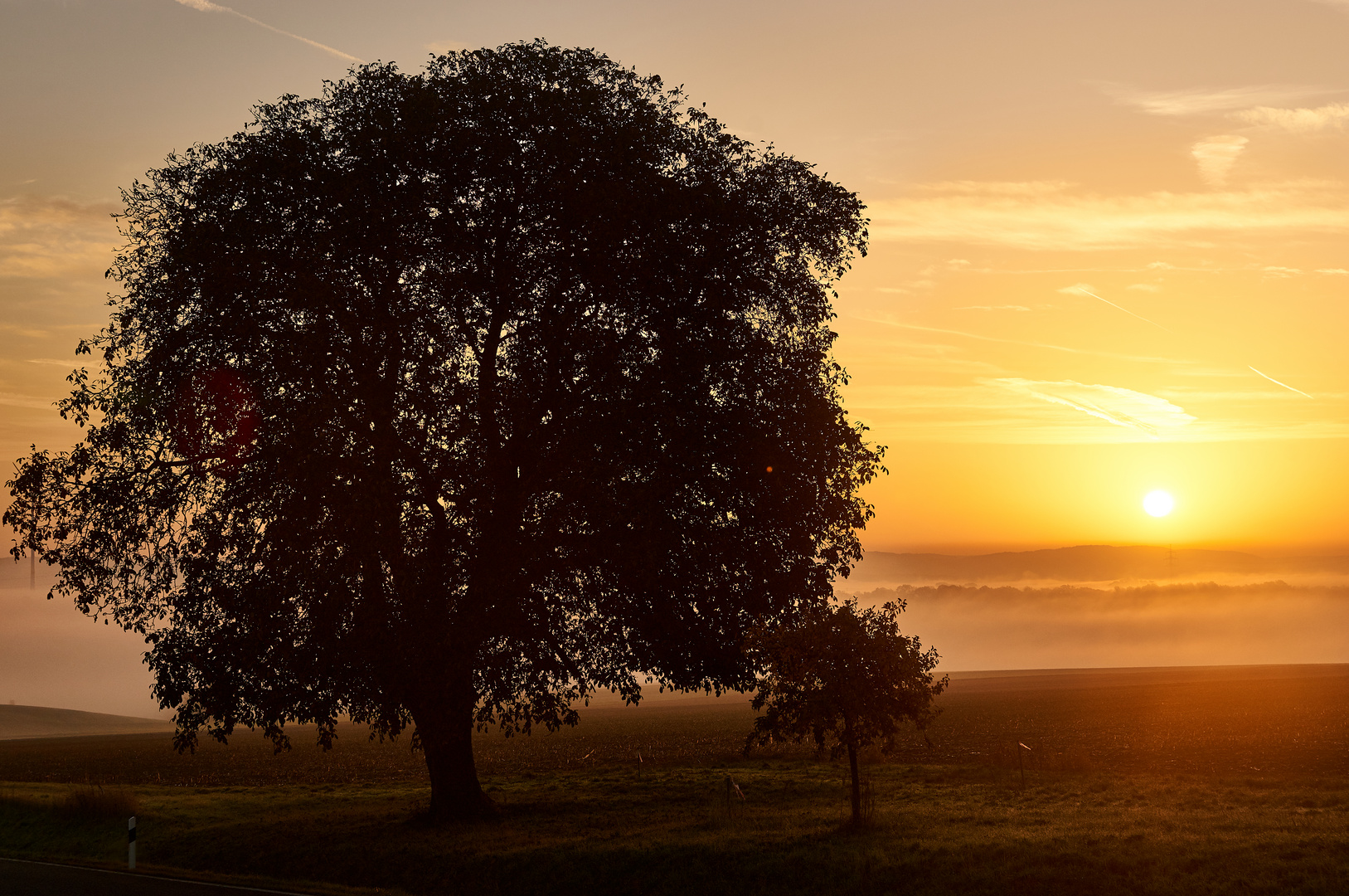 Warmes Licht im kalten Nebel....