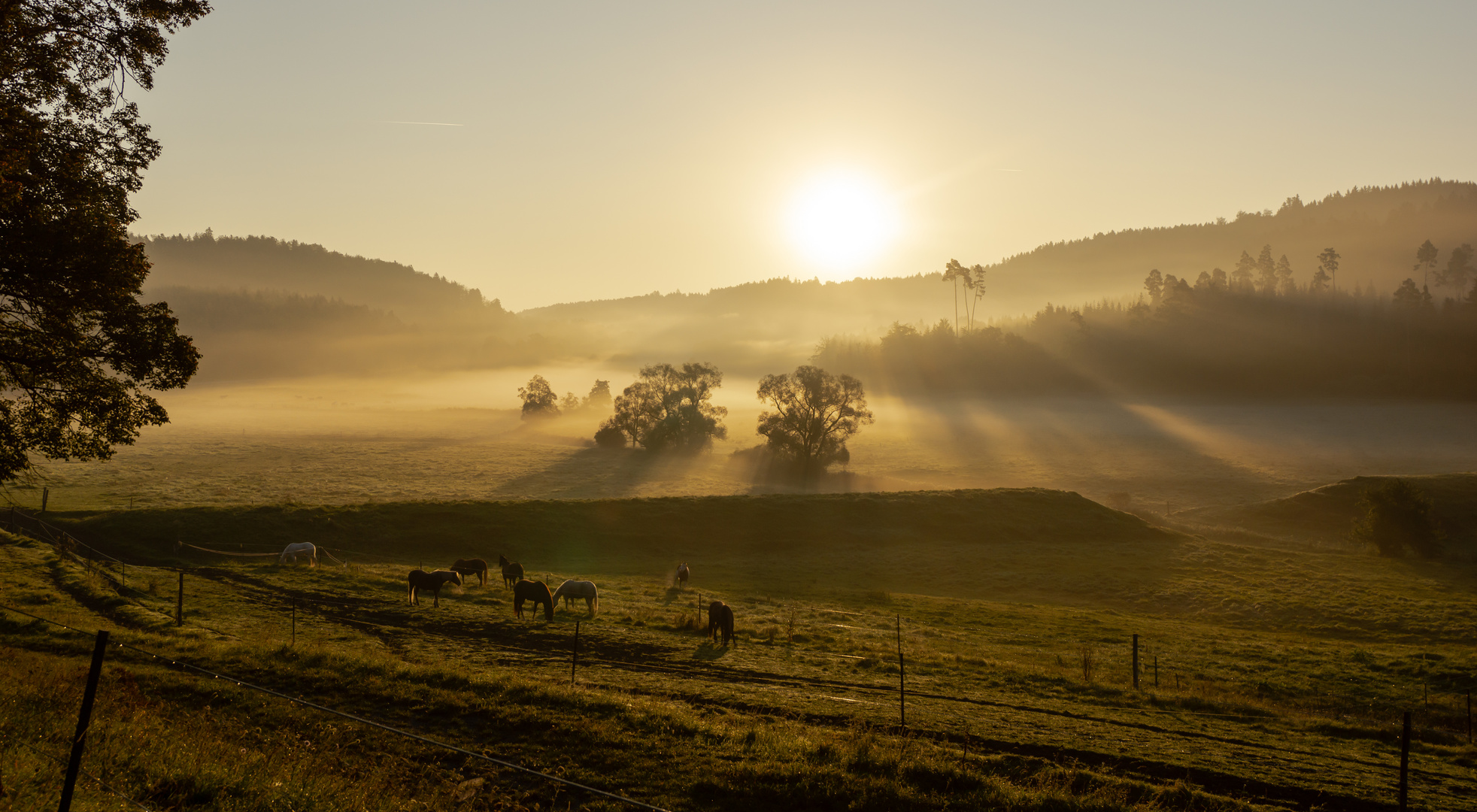 Warmes Licht trifft kühlen Morgen