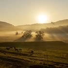 Warmes Licht trifft kühlen Morgen