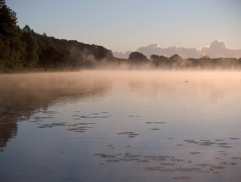 warmes Licht über dem Westensee