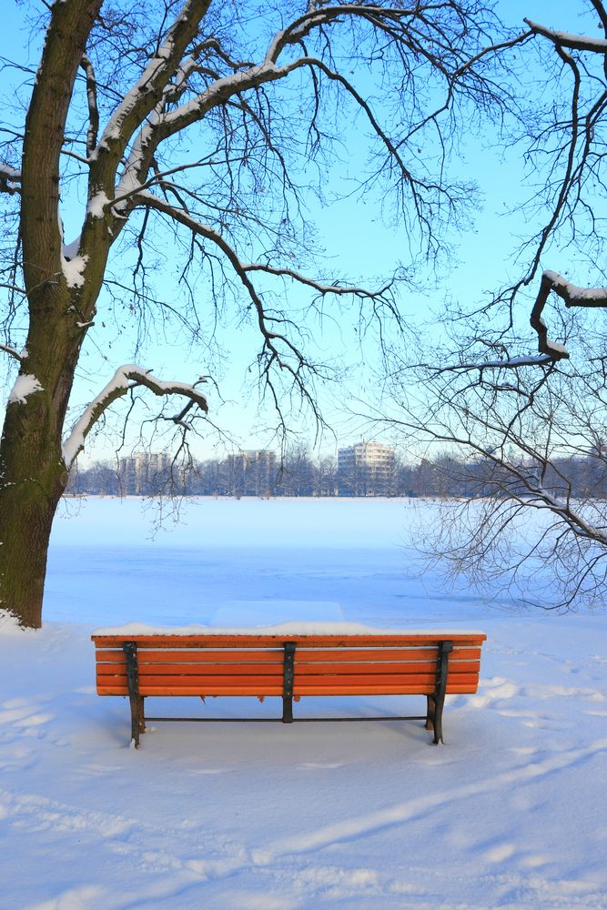 Warmes Plätzchen im kalten Winter von Markus Thiele 