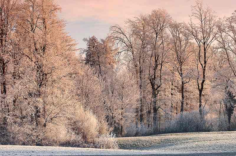 Warmfarben im Kaltwinter