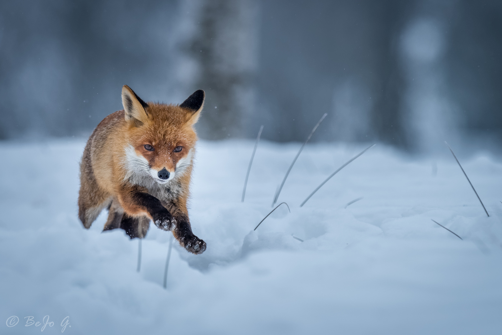 Warmlaufen im Schnee