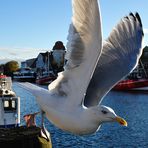 Warnemünde