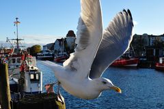 Warnemünde