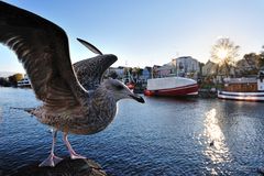 Warnemünde 2