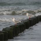 Warnemünde #3