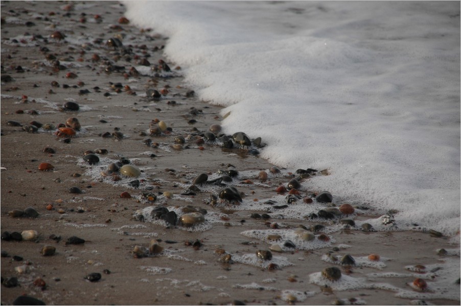 Warnemünde #5