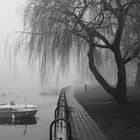 Warnemünde - Alter Strom during a foggy day