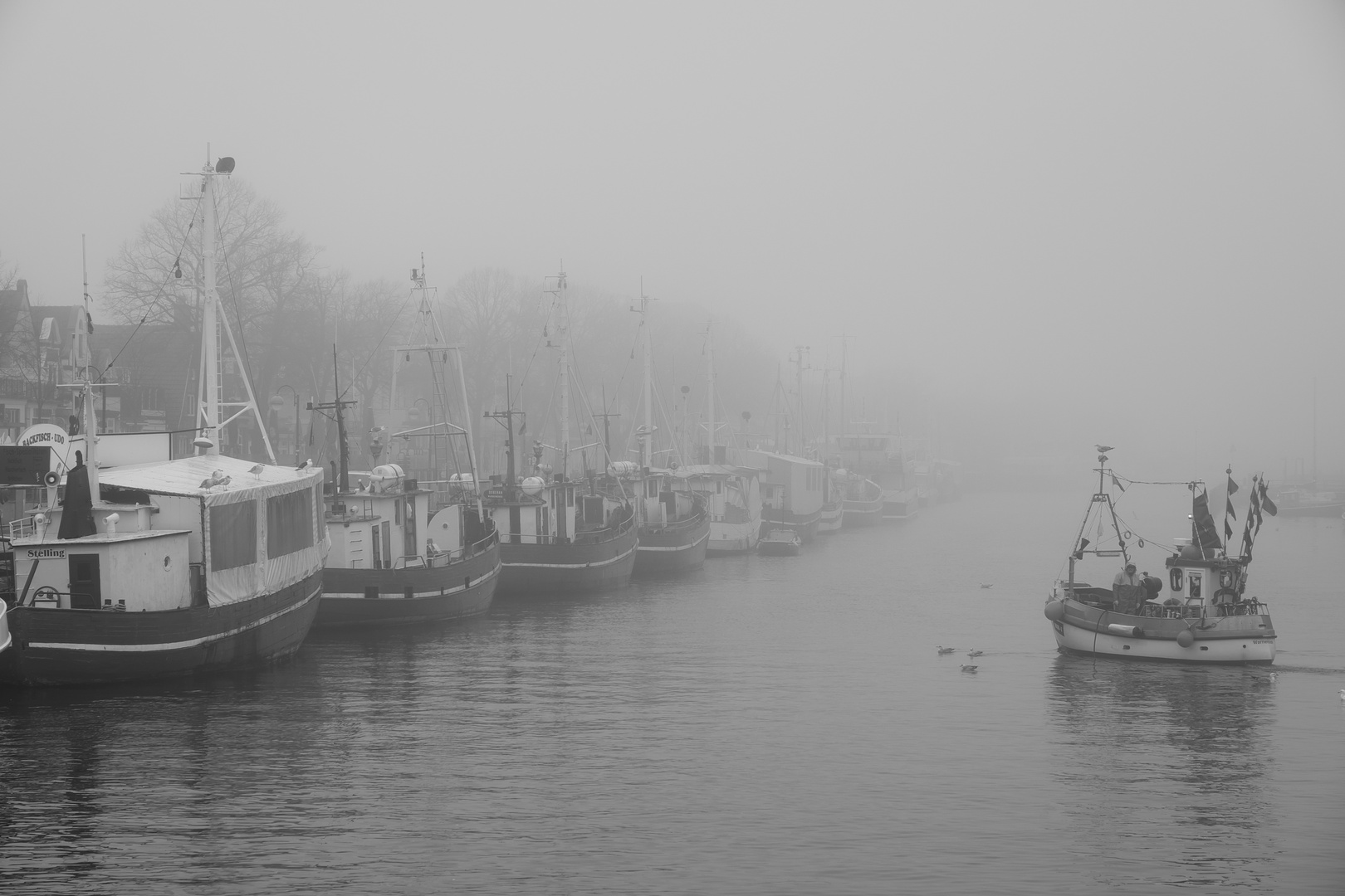 Warnemünde - Alter Strom im Nebel, Fischkutter WAR 1 fährt aus zum Fischen