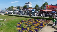 Warnemünde  -  Am alten Strom ist immer was los  ...