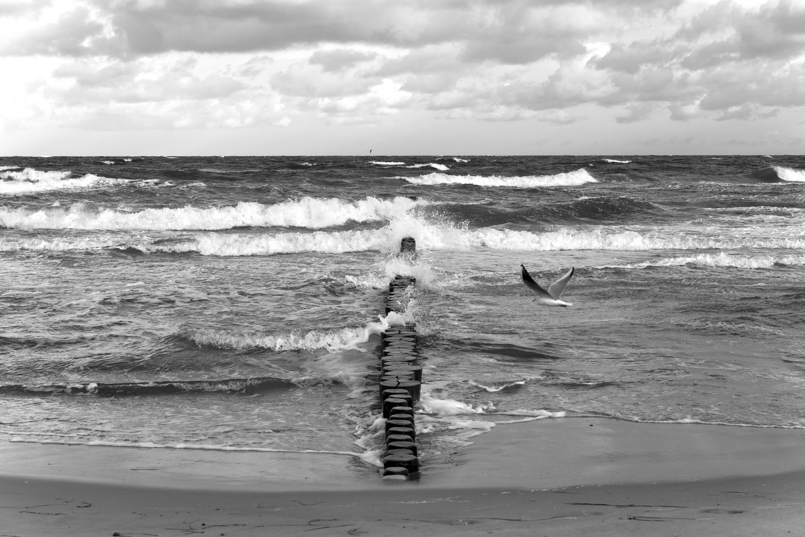 Warnemünde beach - a windy day