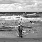 Warnemünde beach - a windy day