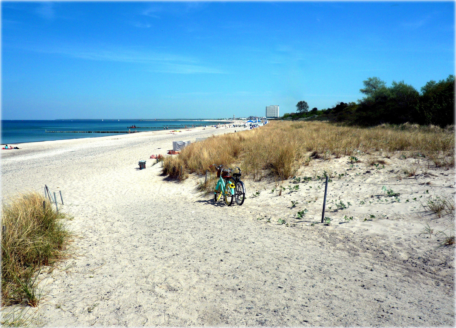 Warnemünde beim NSG Stoltera