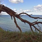 Warnemünde, die Steilküste bei Wilhelmshöhe