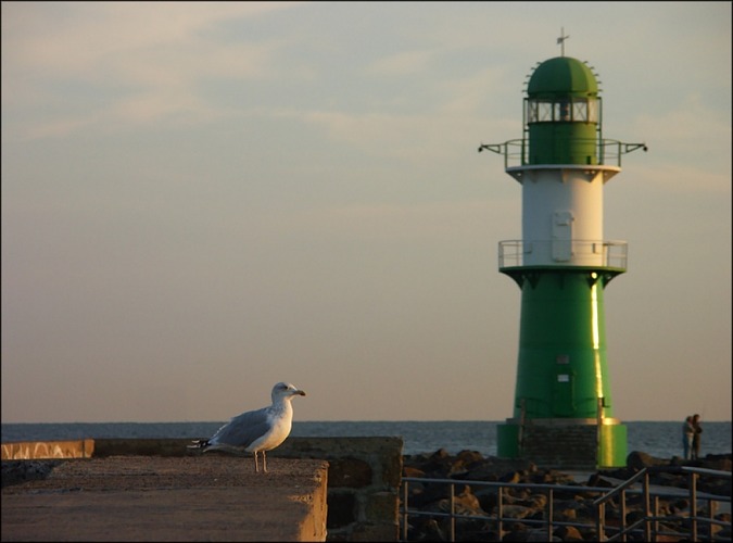 Warnemünde Grün/Weiss