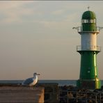 Warnemünde Grün/Weiss