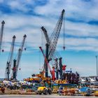 Warnemünde - Hafen Liebherr Hafenkräne