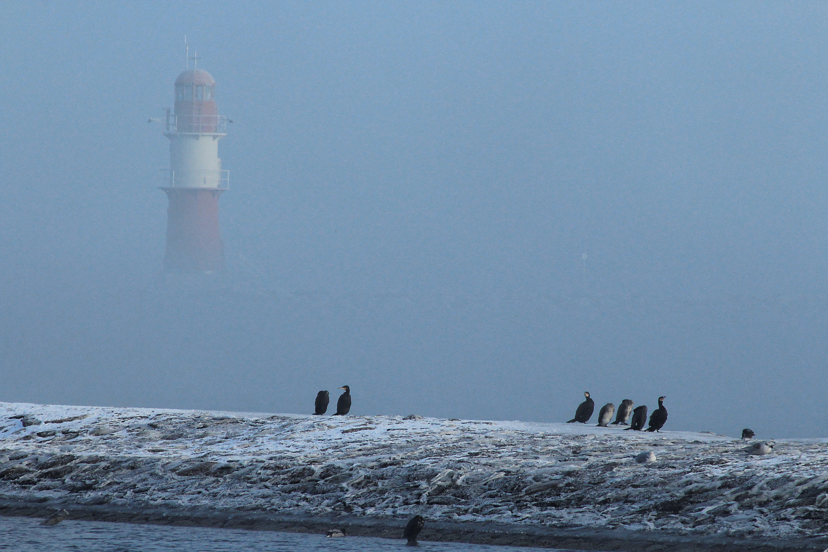 Warnemünde im Nebel