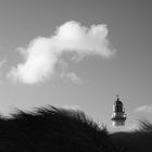 Warnemünde - lighthouse somewhere in the dunes