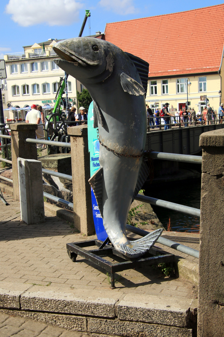 Warnemünder Ansicht