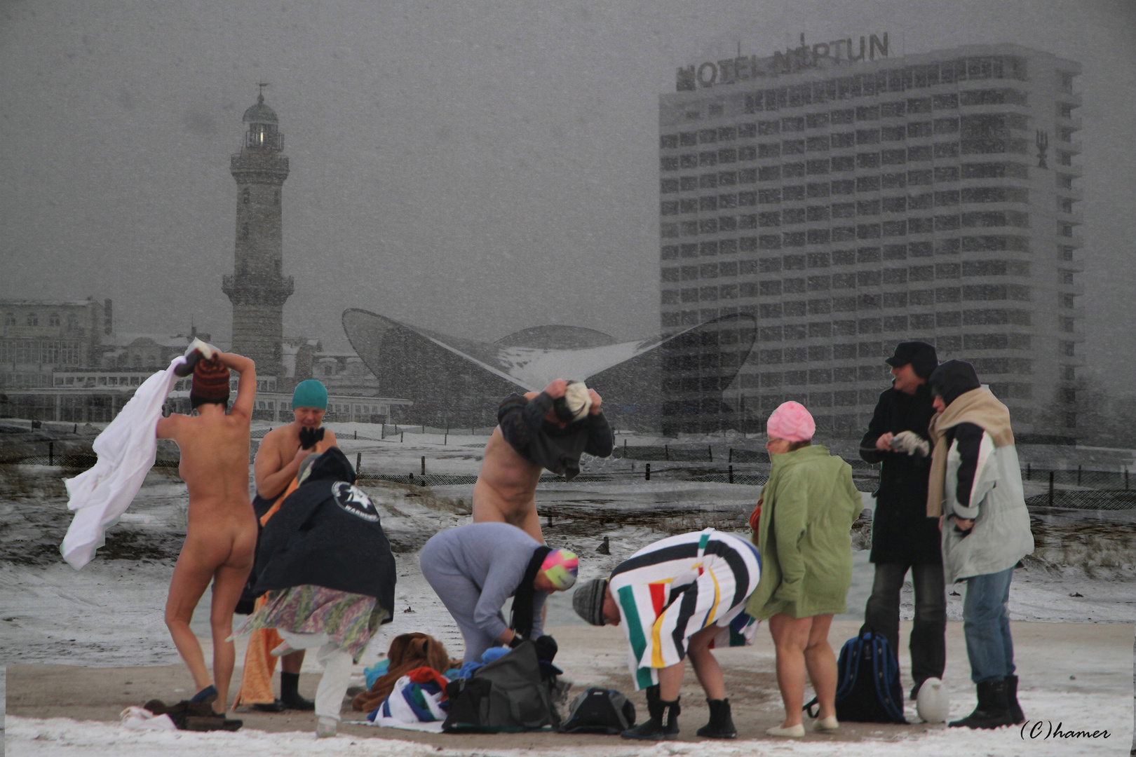 Warnemünder Seehunde