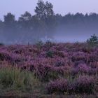 Warner Heide (1)