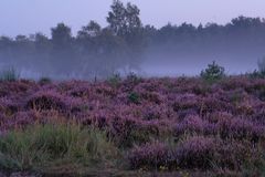 Warner Heide (1)