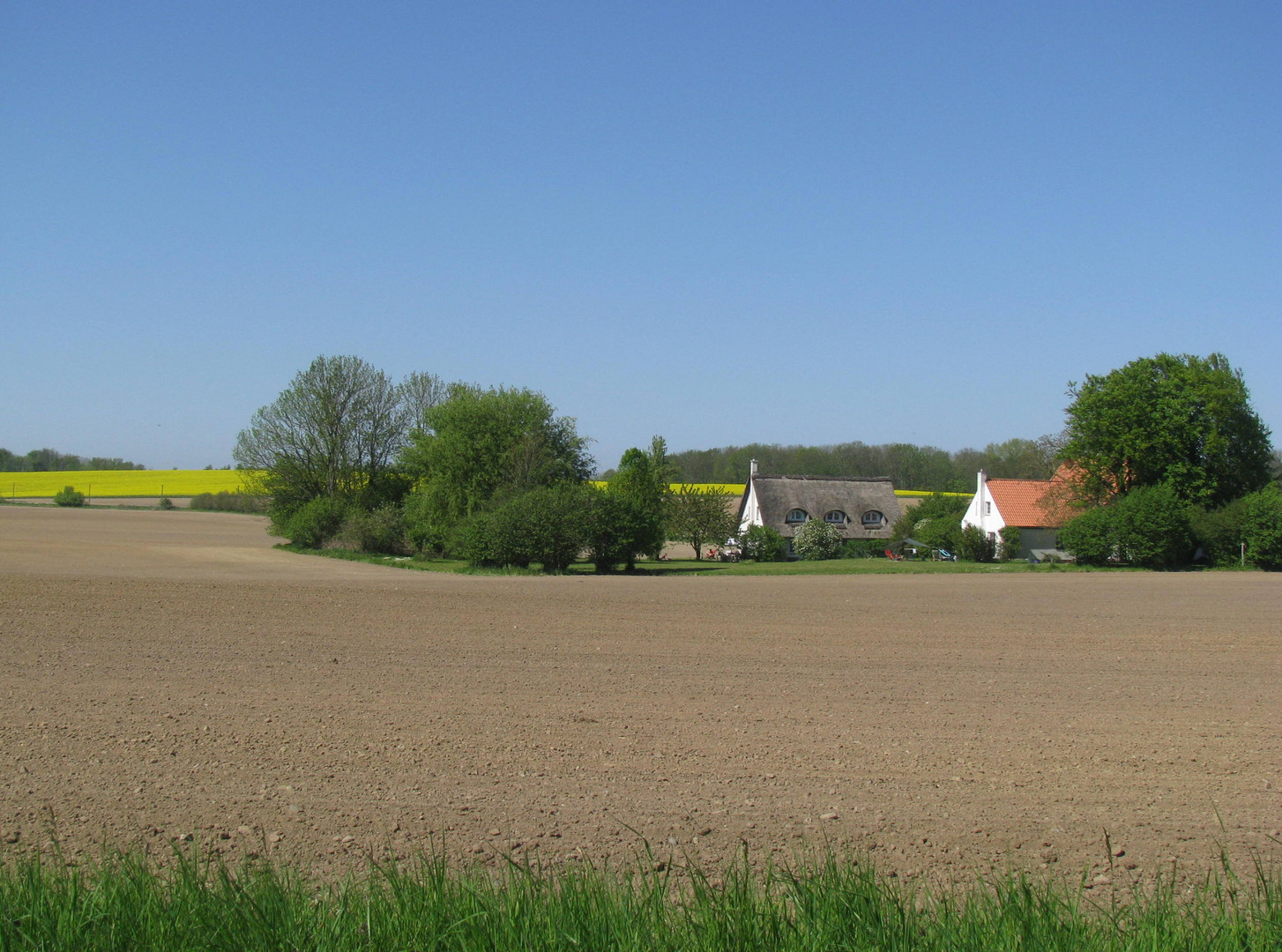 Warnkenhagen (NWM), westlicher Ortsrand 