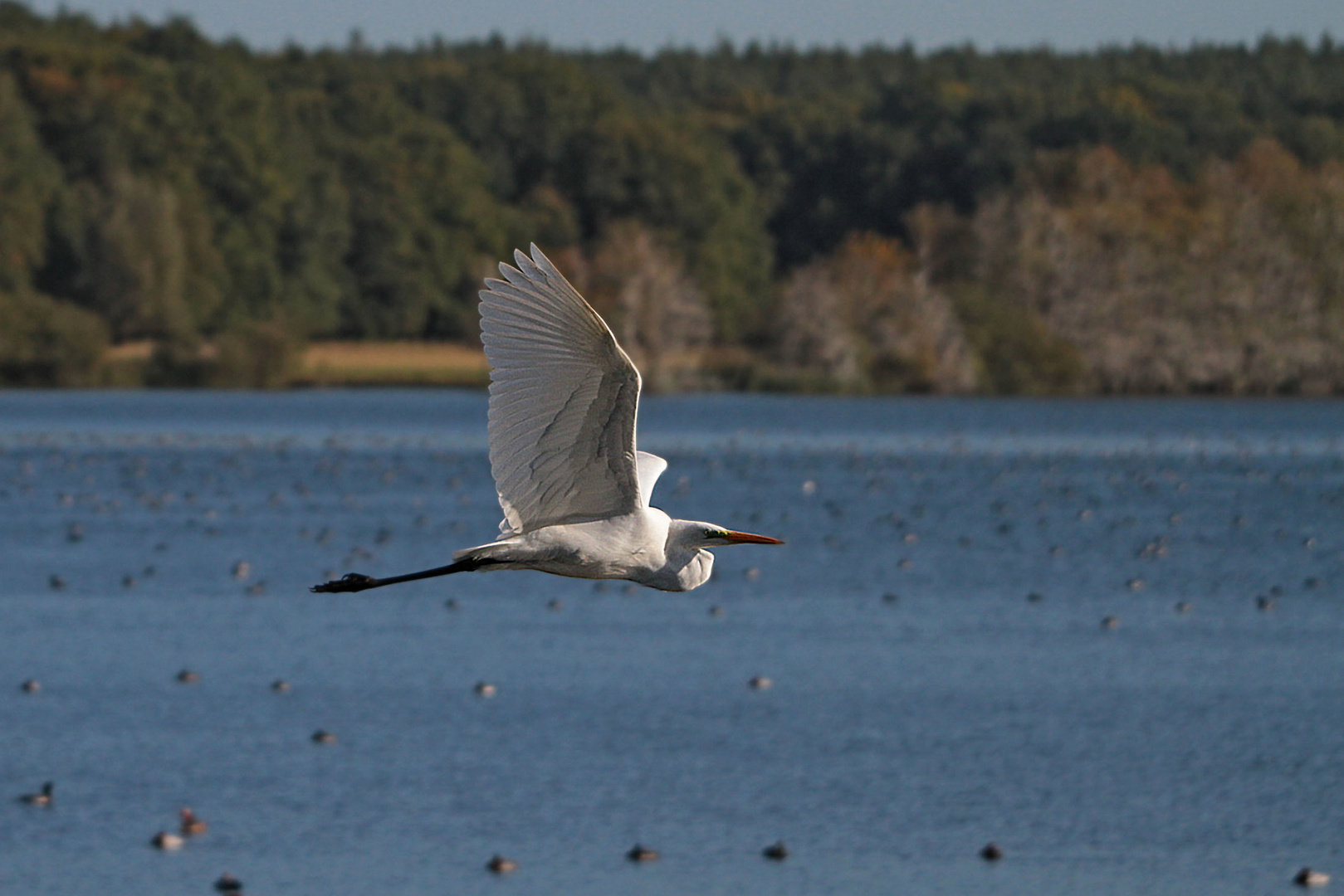 Warnker See (1)