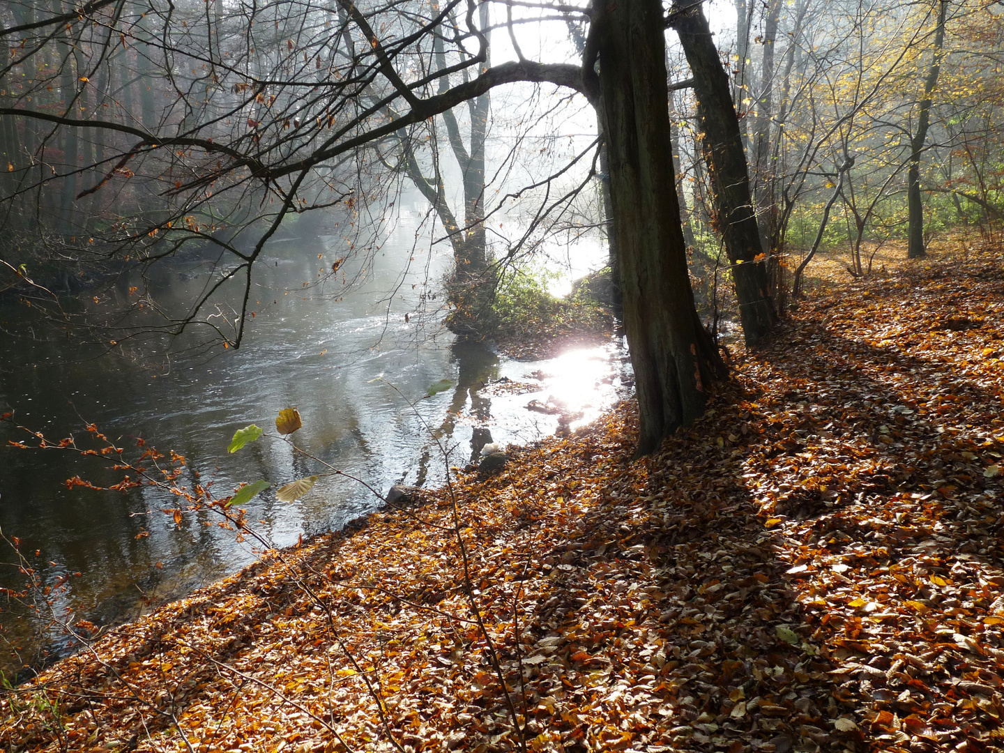 Warnow - Tal bei Groß Görnow