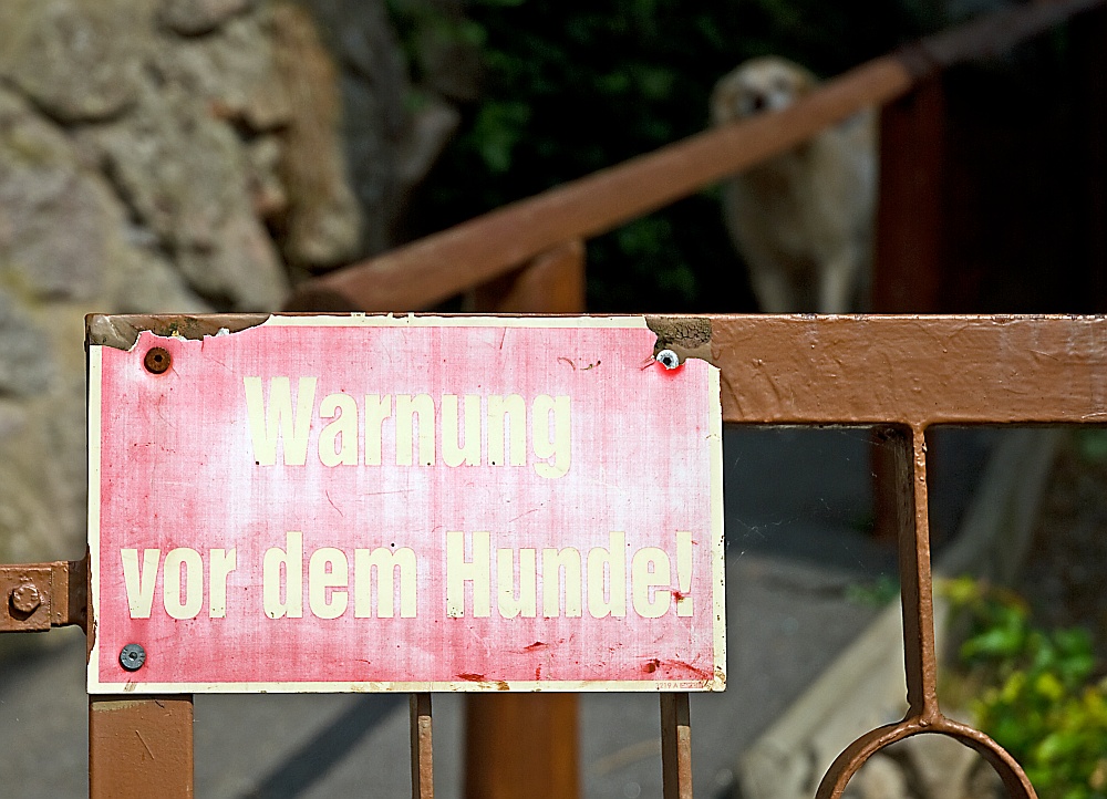 Warnung vor dem Hunde?