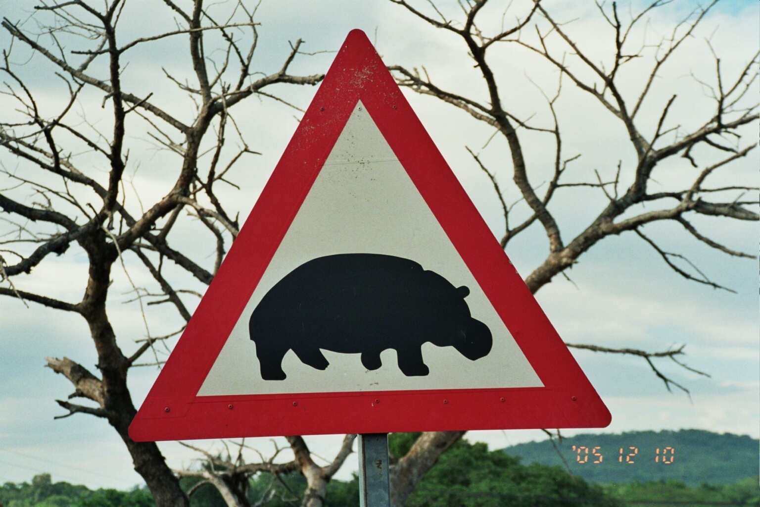 Warnung vor den Flusspferden