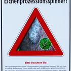 Warnung vor Eichenprozessionsspinner