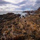 Warren Beach - Devon/UK