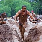 Warrior race