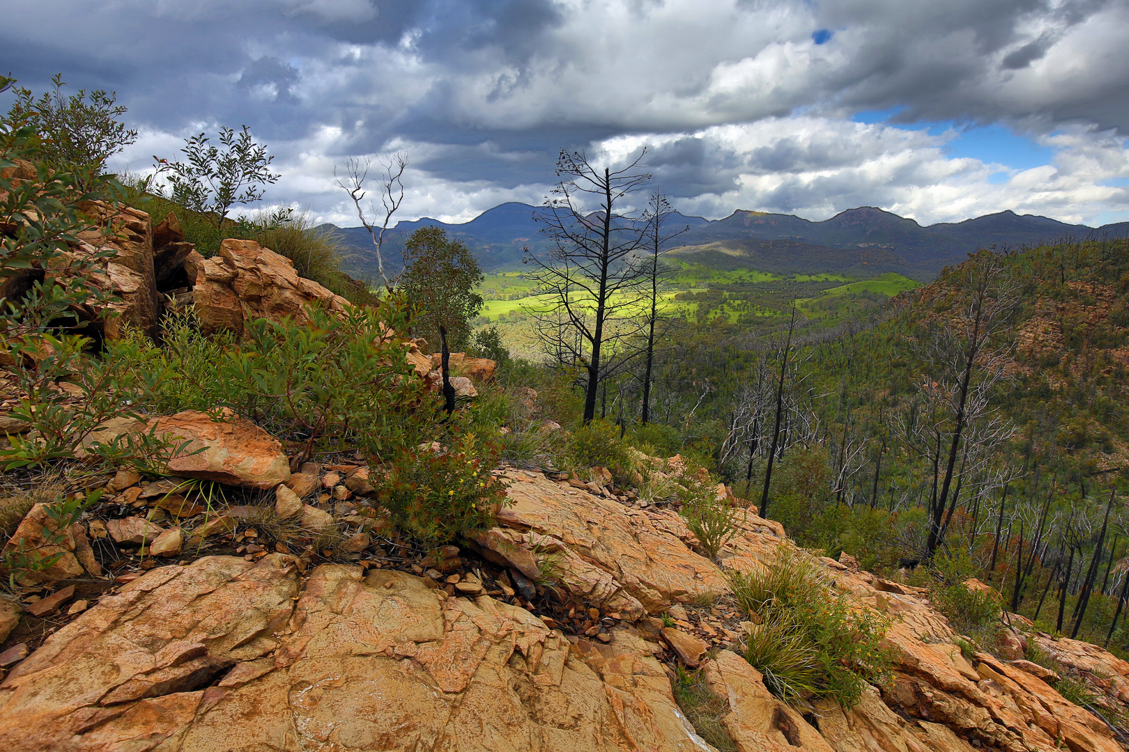 Warrumbungle