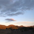 Warrumbungle National Park