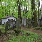 Warschau: Jüdischer Friedhof (Impression)