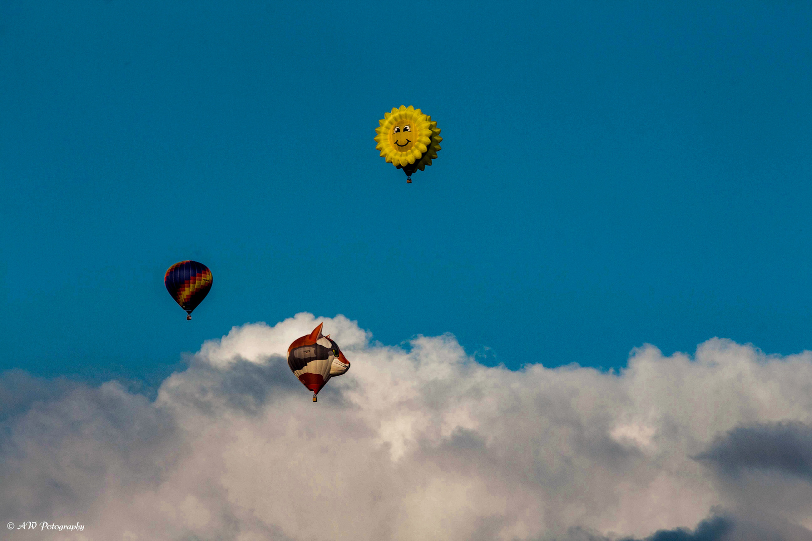 Warsteiner Internationale Montgolfiade 2016