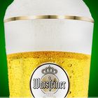 Warsteiner Tulpe gefüllt