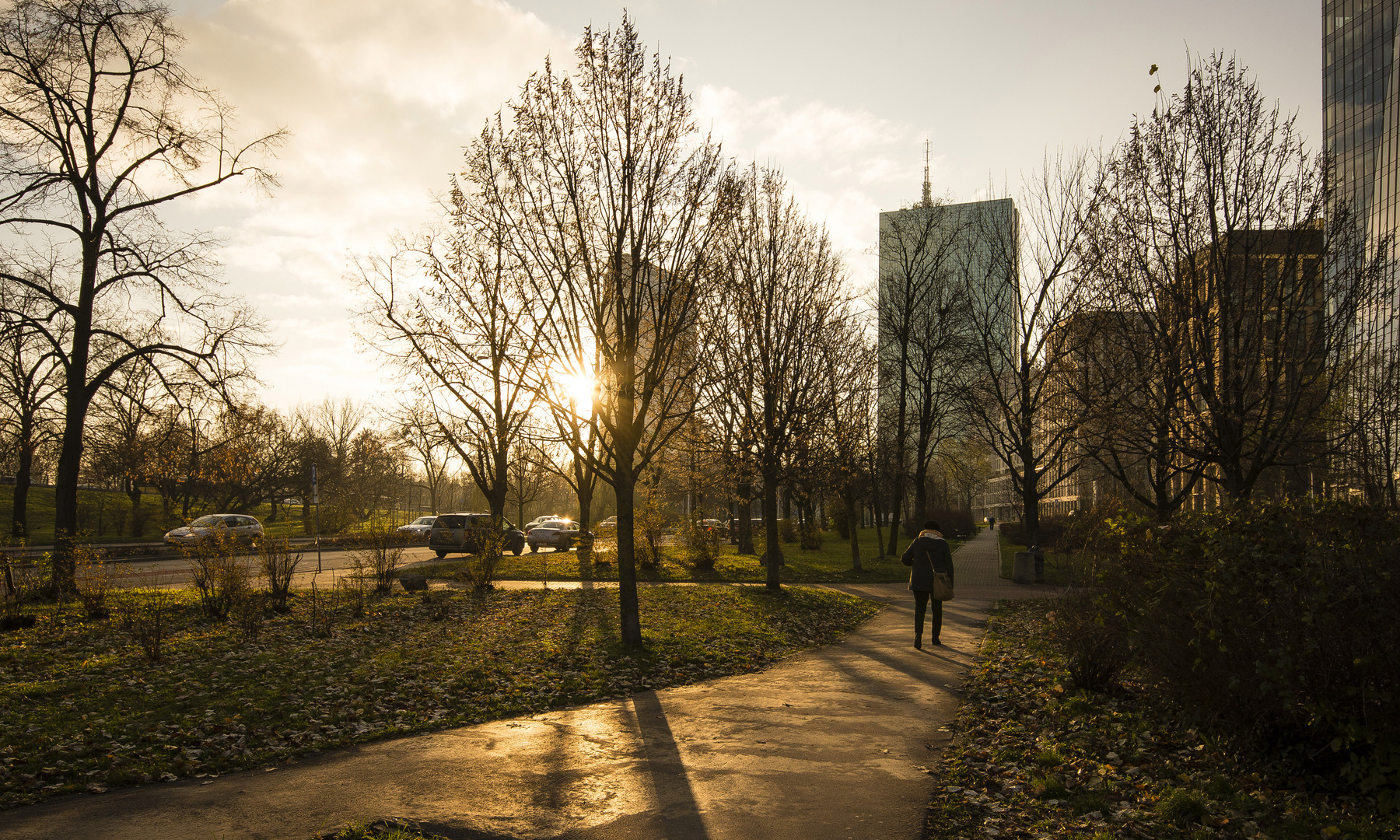 Warszawa - Alka Dawidowskiego